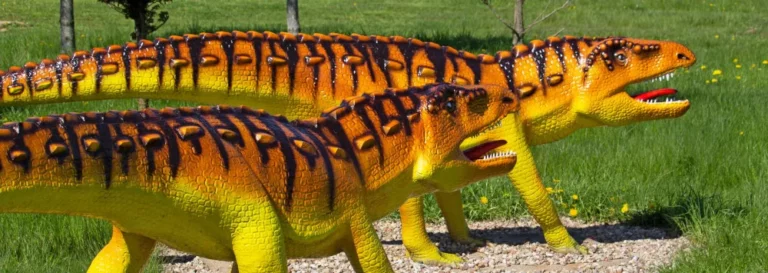 dinosaur Park Wrzosowo
